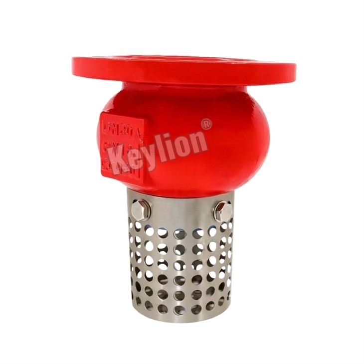 Foot Valve Strainer Stainless Steel