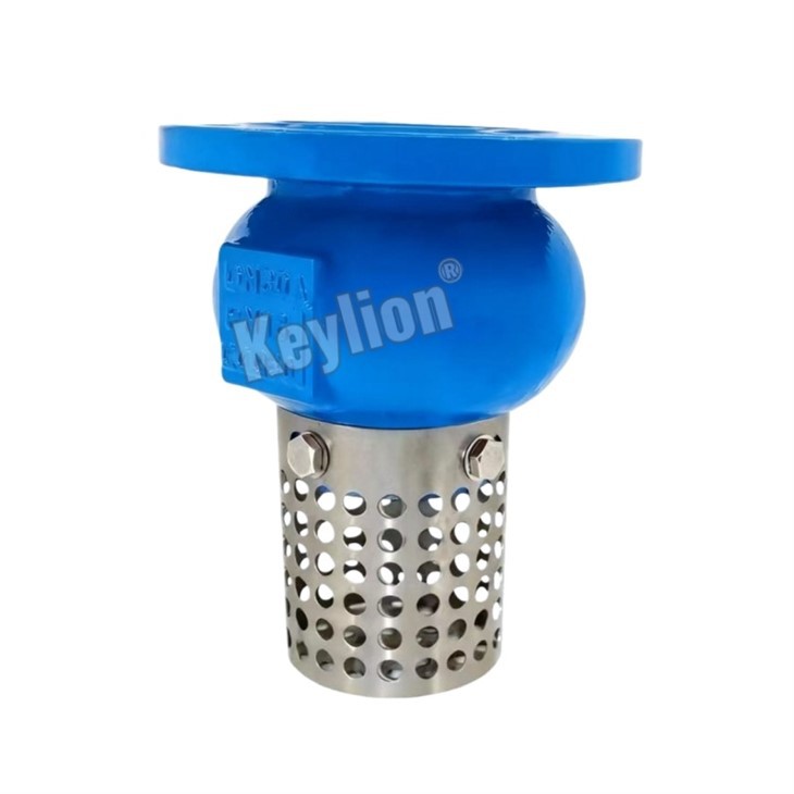 Foot Valve Strainer Stainless Steel