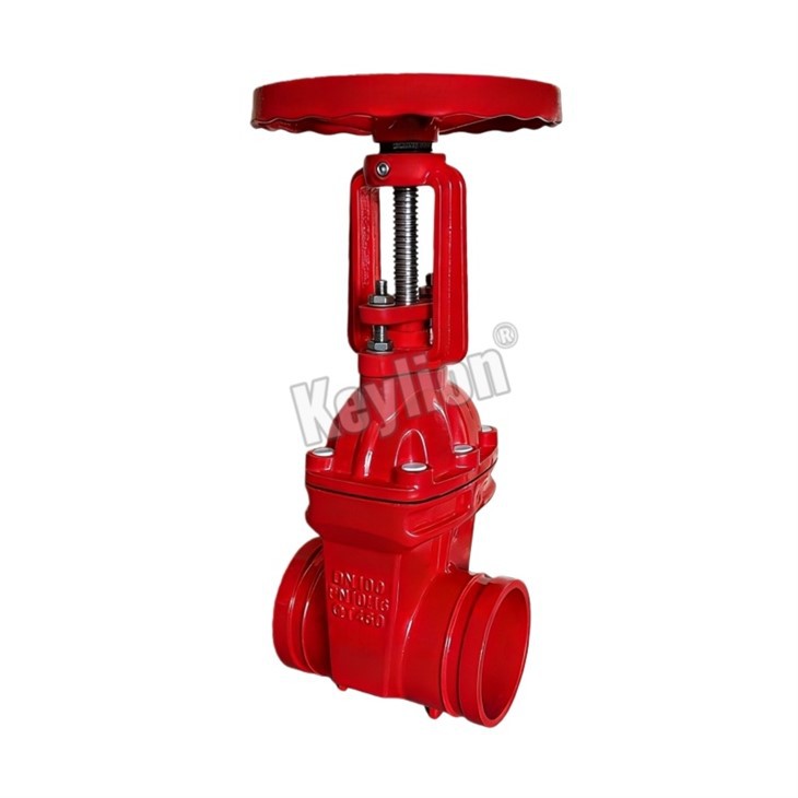 Rising Gate Valve 