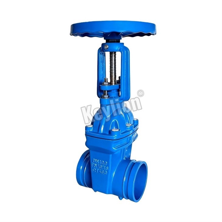 Rising Gate Valve 