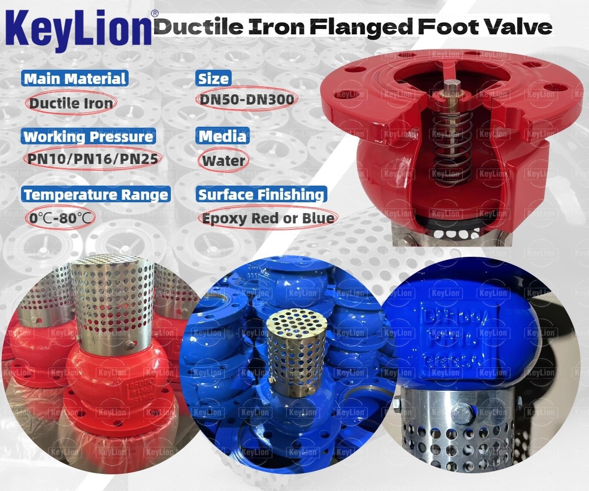 Foot Valve Strainer Stainless Steel Foot Valve Strainer Stainless Steel